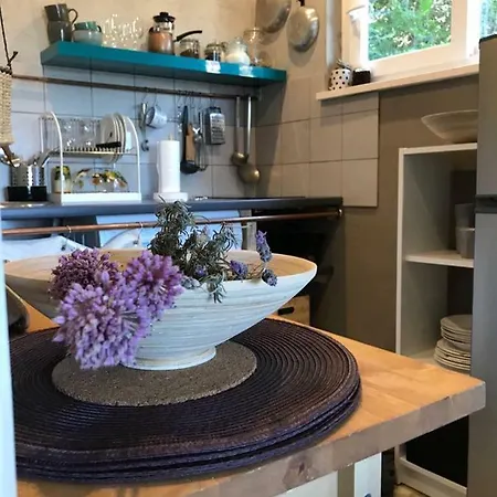 Gala -korcula/prigradica Lejlighed *