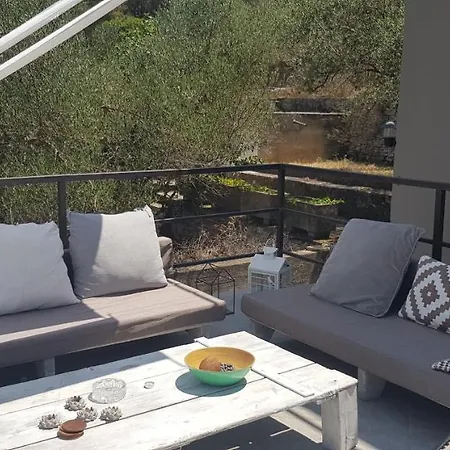 Gala -korcula/prigradica Prigradica